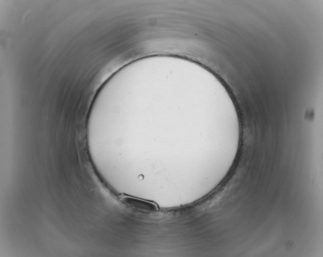 X0000091301521200709071042