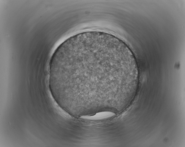 X0000091301522200709071042