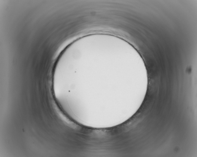 X0000091301523200709071042