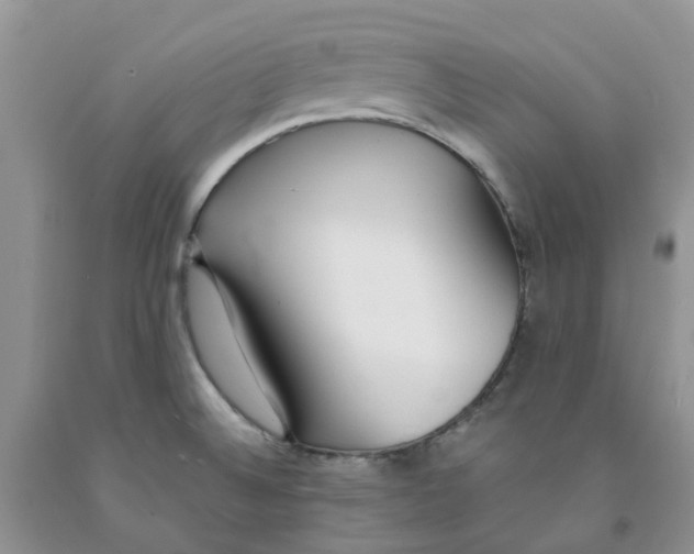 X0000091301524200709071042