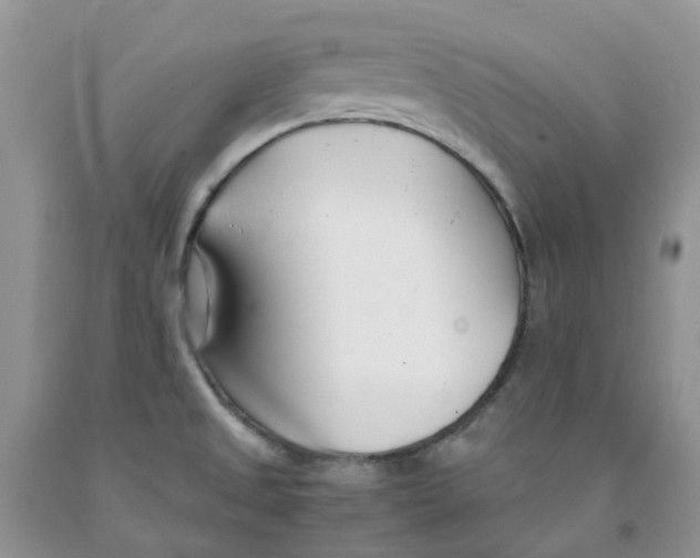 X0000091301525200709071042