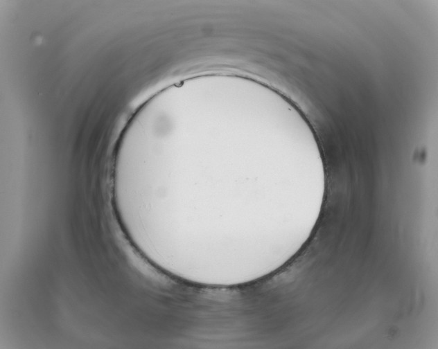 X0000091301526200709071042