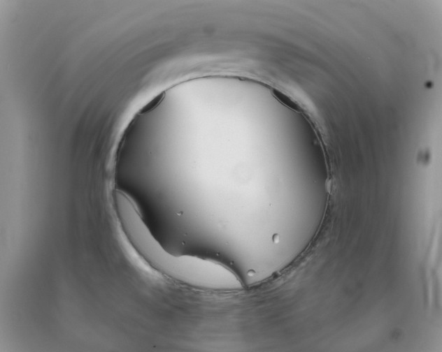 X0000091301528200709071042