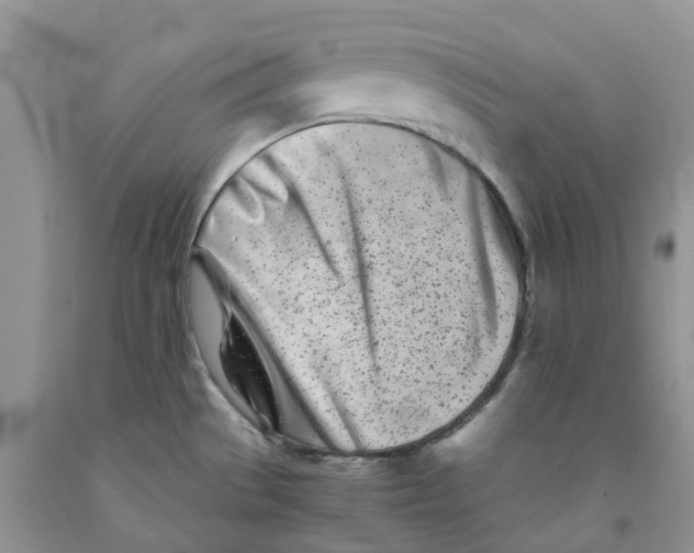 X0000091301529200709071042