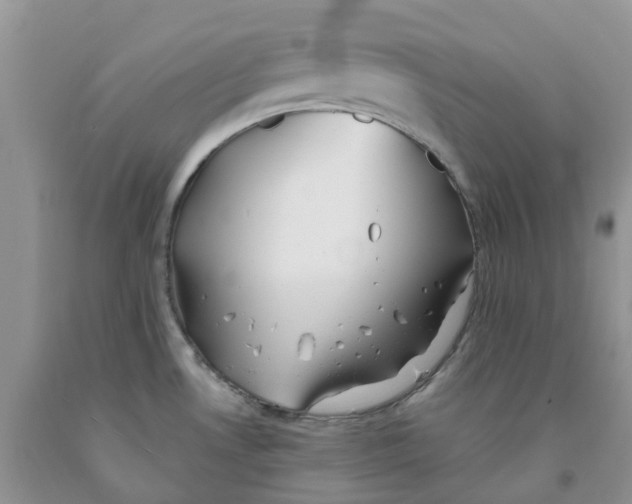 X0000091301530200709071042