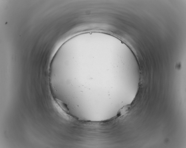 X0000091301532200709071042