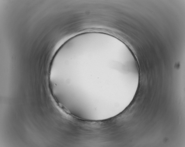 X0000091301533200709071042