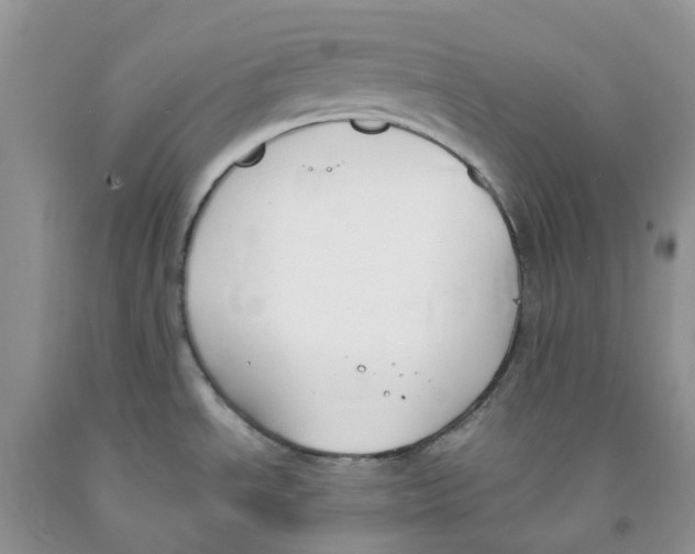 X0000091301534200709071042