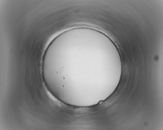 X0000091301535200709071042