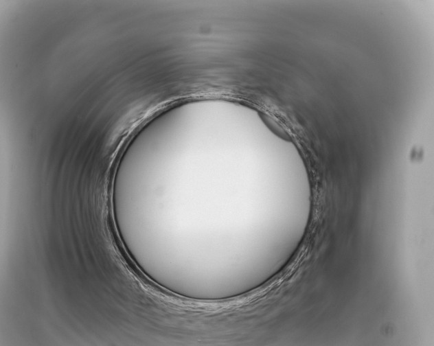 X0000091310002200708101118