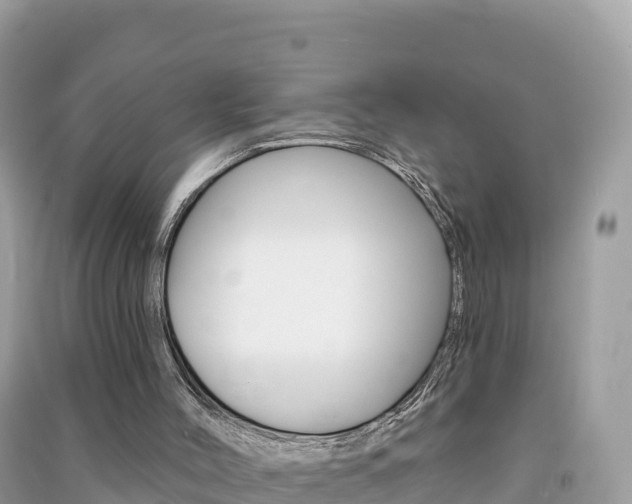X0000091310004200708101118
