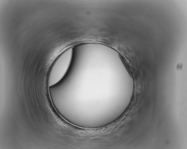 X0000091310005200708101118