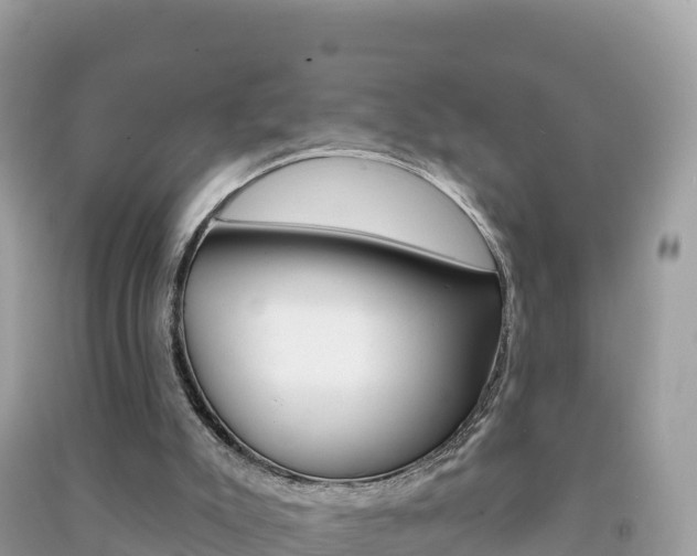 X0000091310007200708101118