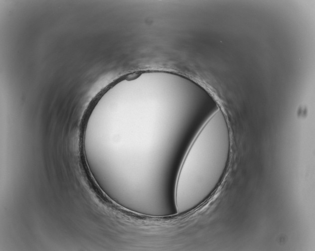 X0000091310008200708101118
