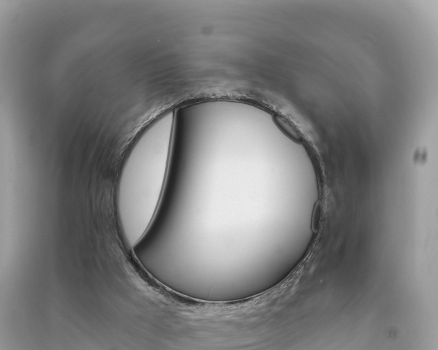 X0000091310009200708101118