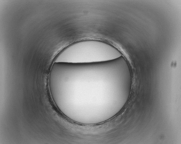 X0000091310010200708101118
