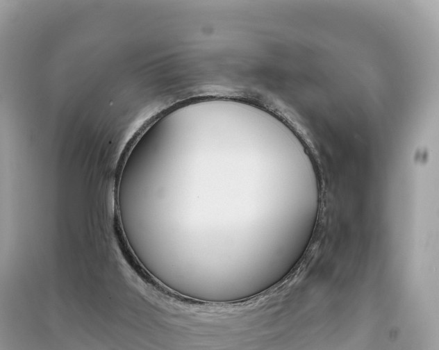 X0000091310011200708101118
