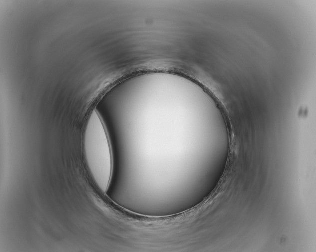 X0000091310013200708101118