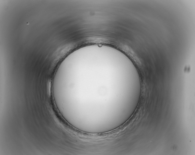 X0000091310014200708101118