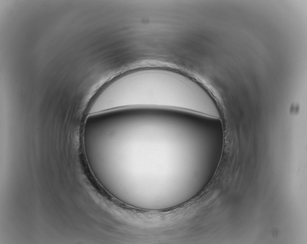 X0000091310015200708101118