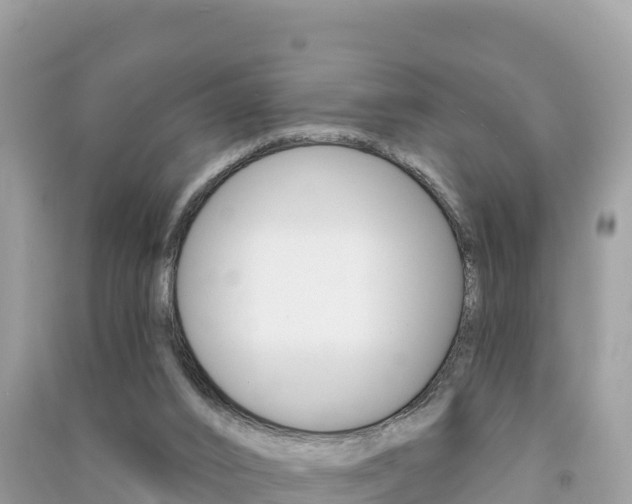 X0000091310016200708101118