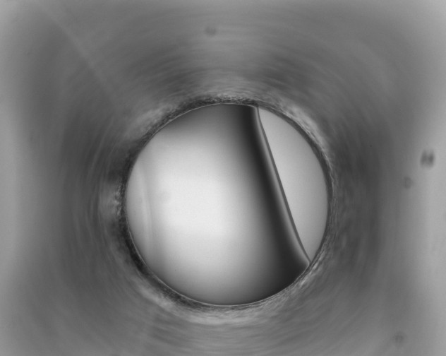 X0000091310017200708101118