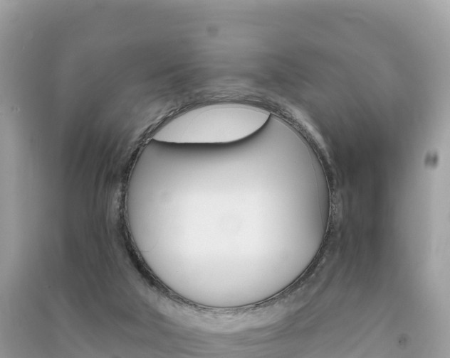 X0000091310018200708101118