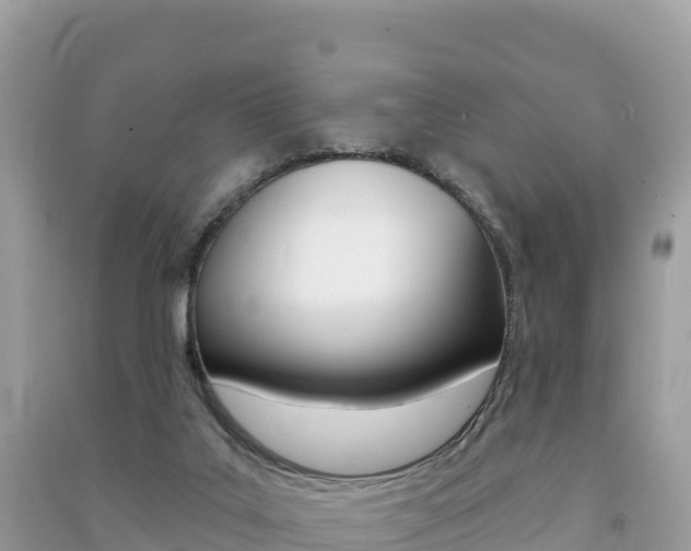 X0000091310019200708101118