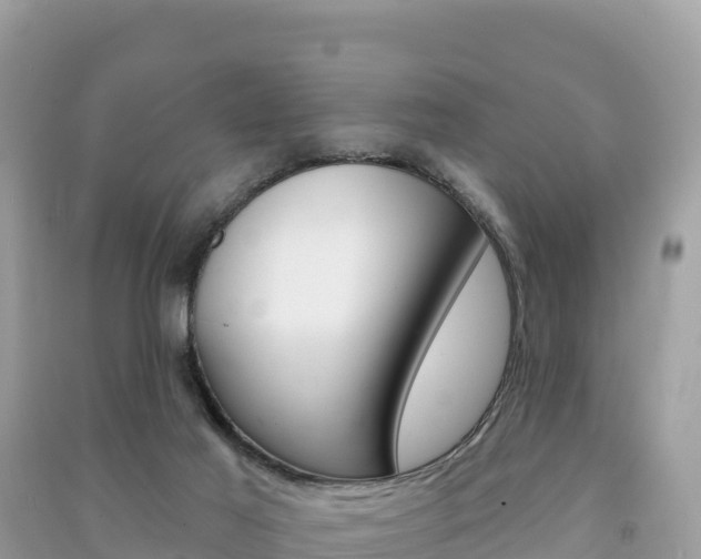 X0000091310021200708101118