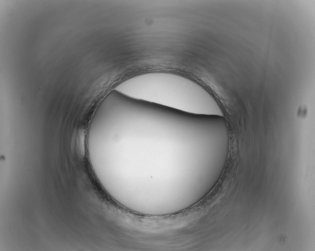 X0000091310022200708101118