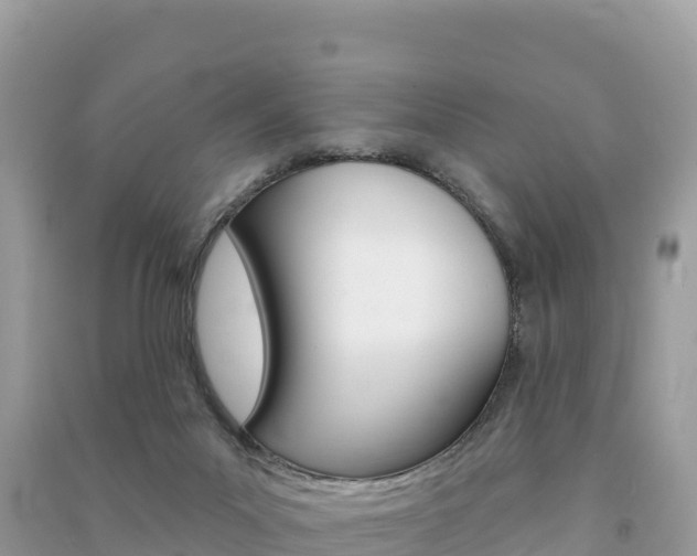 X0000091310023200708101118