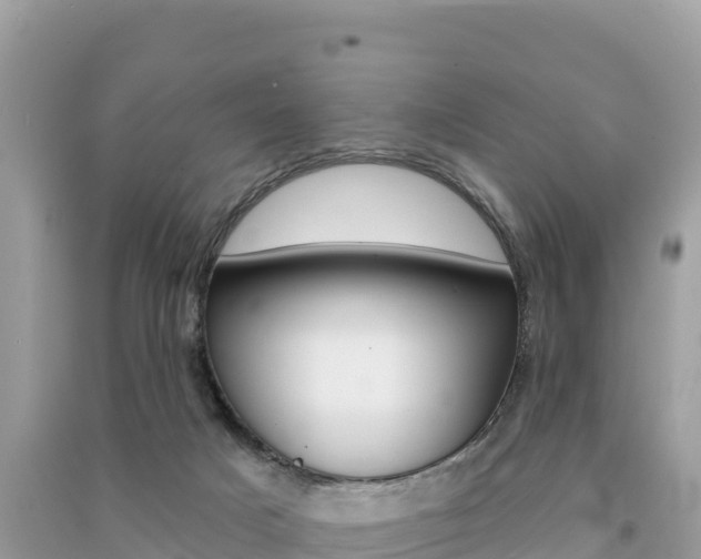 X0000091310025200708101118