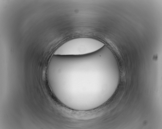 X0000091310026200708101118
