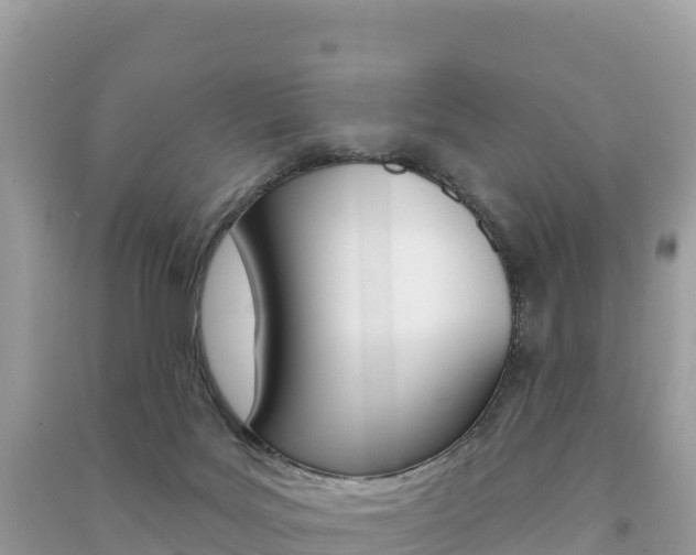X0000091310027200708101118