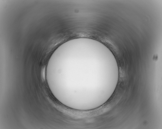 X0000091310028200708101118