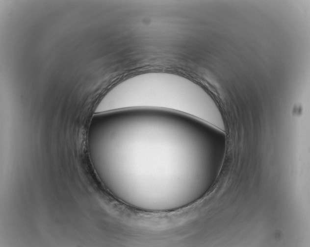 X0000091310029200708101118