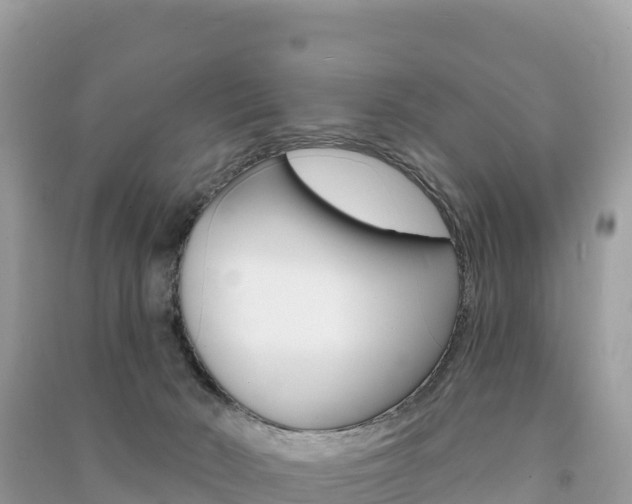 X0000091310030200708101118