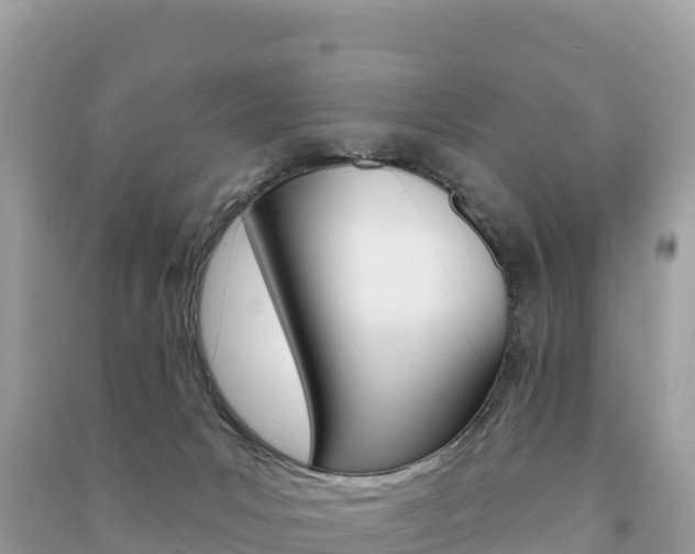 X0000091310031200708101118