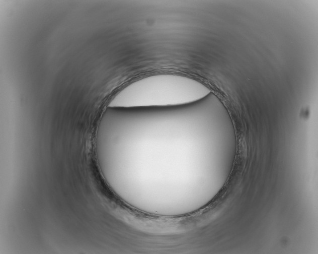 X0000091310032200708101118