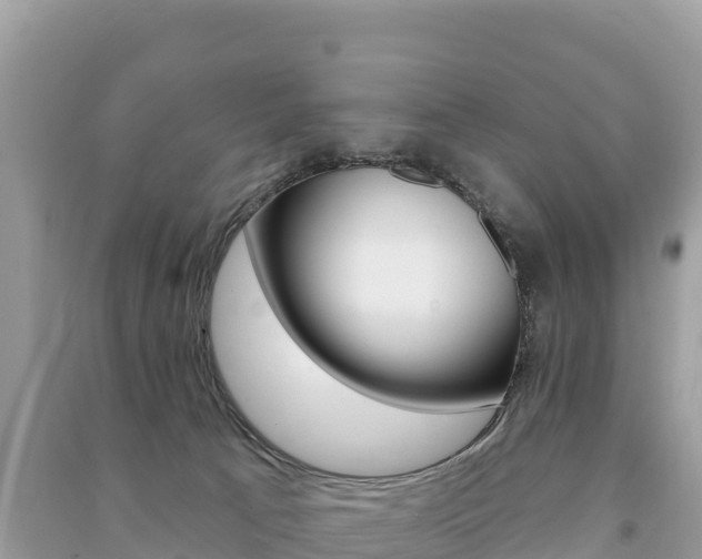 X0000091310033200708101118
