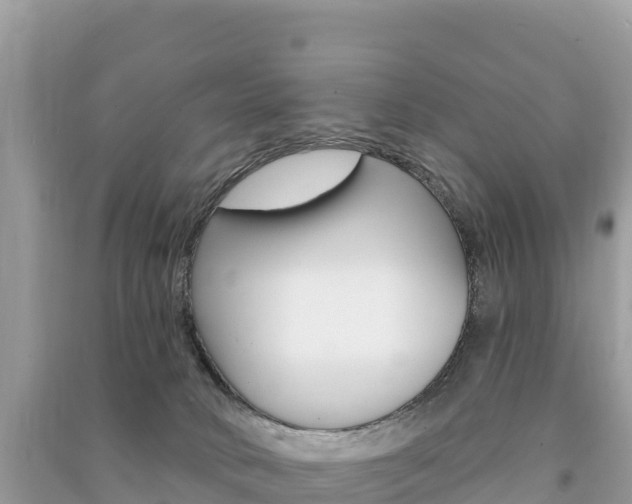 X0000091310034200708101118