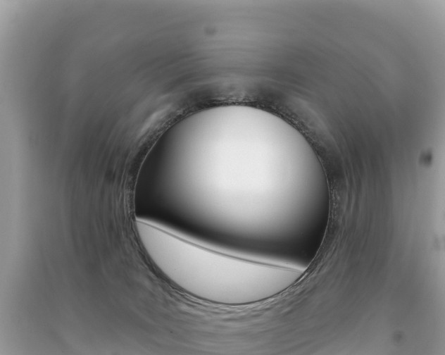 X0000091310035200708101118