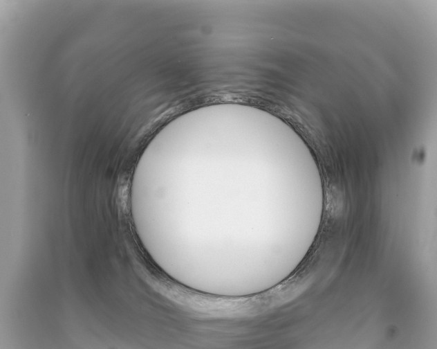 X0000091310036200708101118