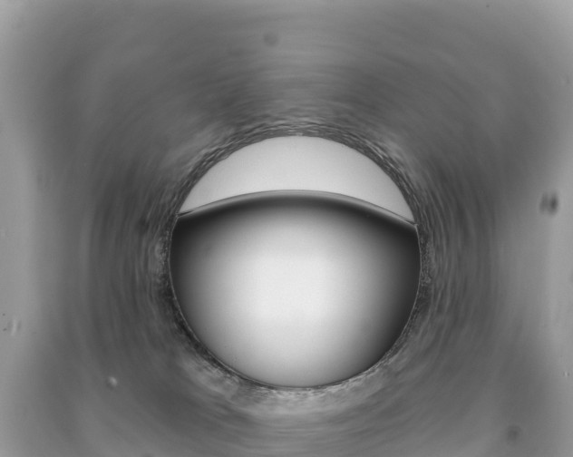 X0000091310037200708101118