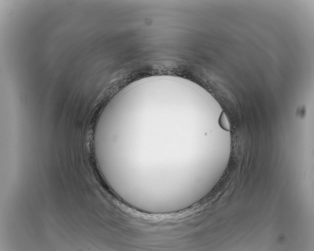 X0000091310038200708101118