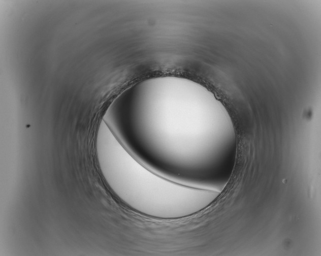 X0000091310039200708101118