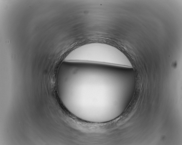 X0000091310040200708101118