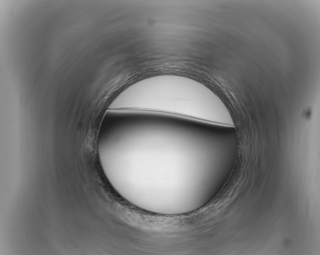 X0000091310044200708101118