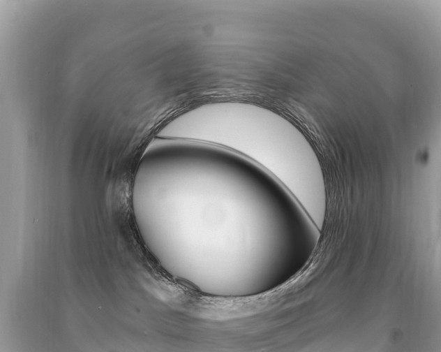 X0000091310045200708101118