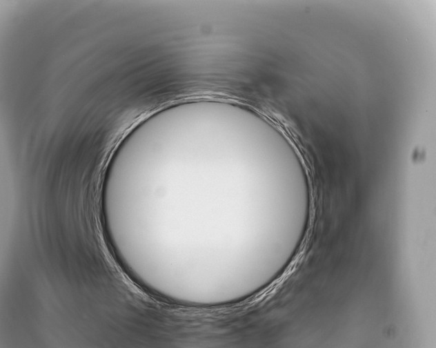 X0000091310049200708101117